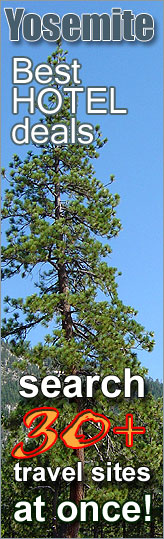 Best Hotel Deals in Yosemite National Park, California - search over 30 travel sites at once