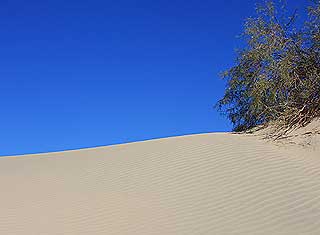 Death Valley - Sand Dunes