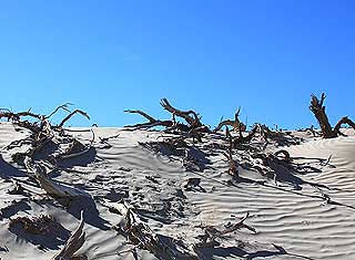 Death Valley - Sand Dunes