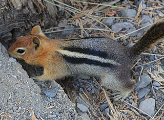 Emerald Bay, Lake Tahoe