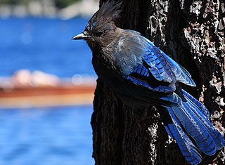 Emerald Bay, Lake Tahoe