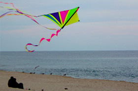 HUNTINGTON BEACH ANNUAL KITE FLYING BEACH PARTY