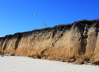 Santa Cruz, CA - Beach