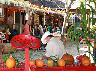 Lemos Farm, Half Moon Bay