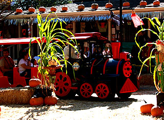 Lemos Farm, Half Moon Bay