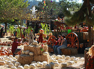 Lemos Farm, Half Moon Bay