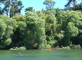 Russian River