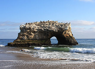 Santa Cruz, CA - Natural Bridges State Park