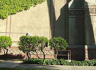 San Jos State University